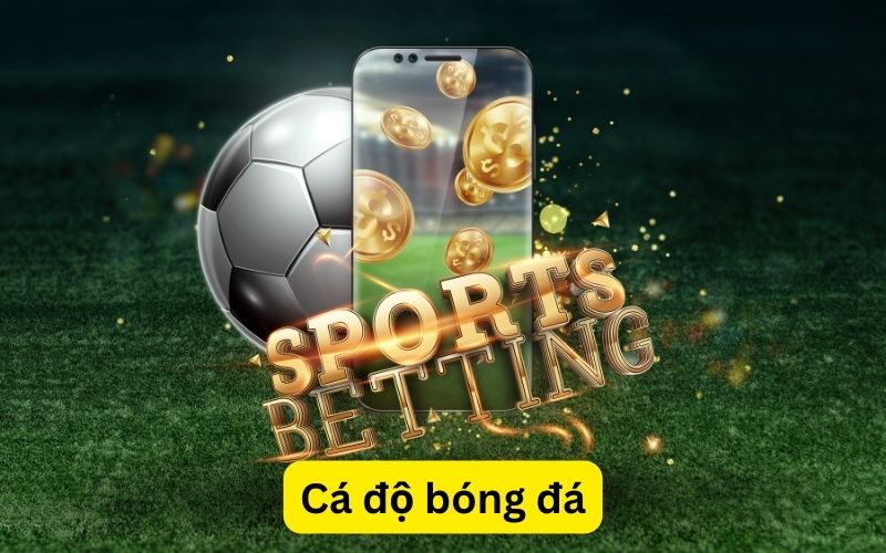 cá độ bóng đá