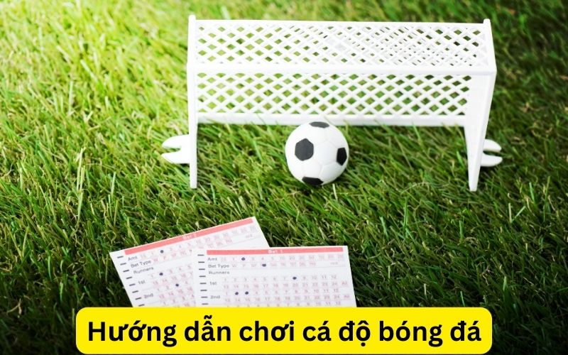 hướng dẫn chơi cá độ bóng đá