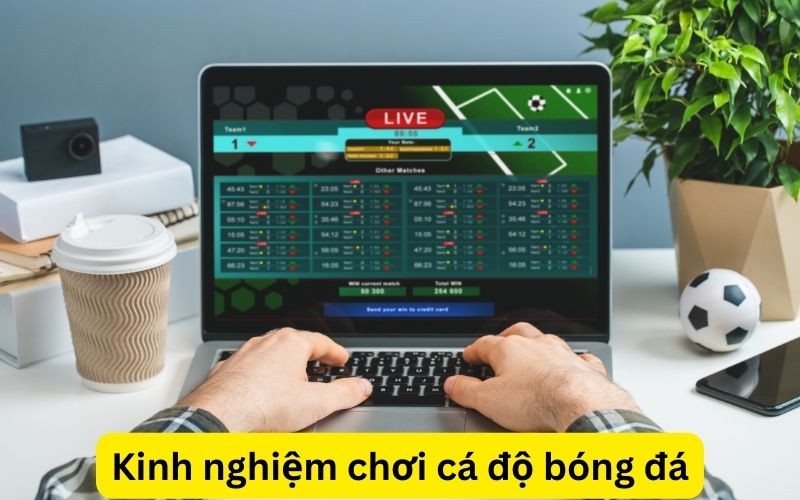 kinh nghiệm chơi cá độ bóng đá